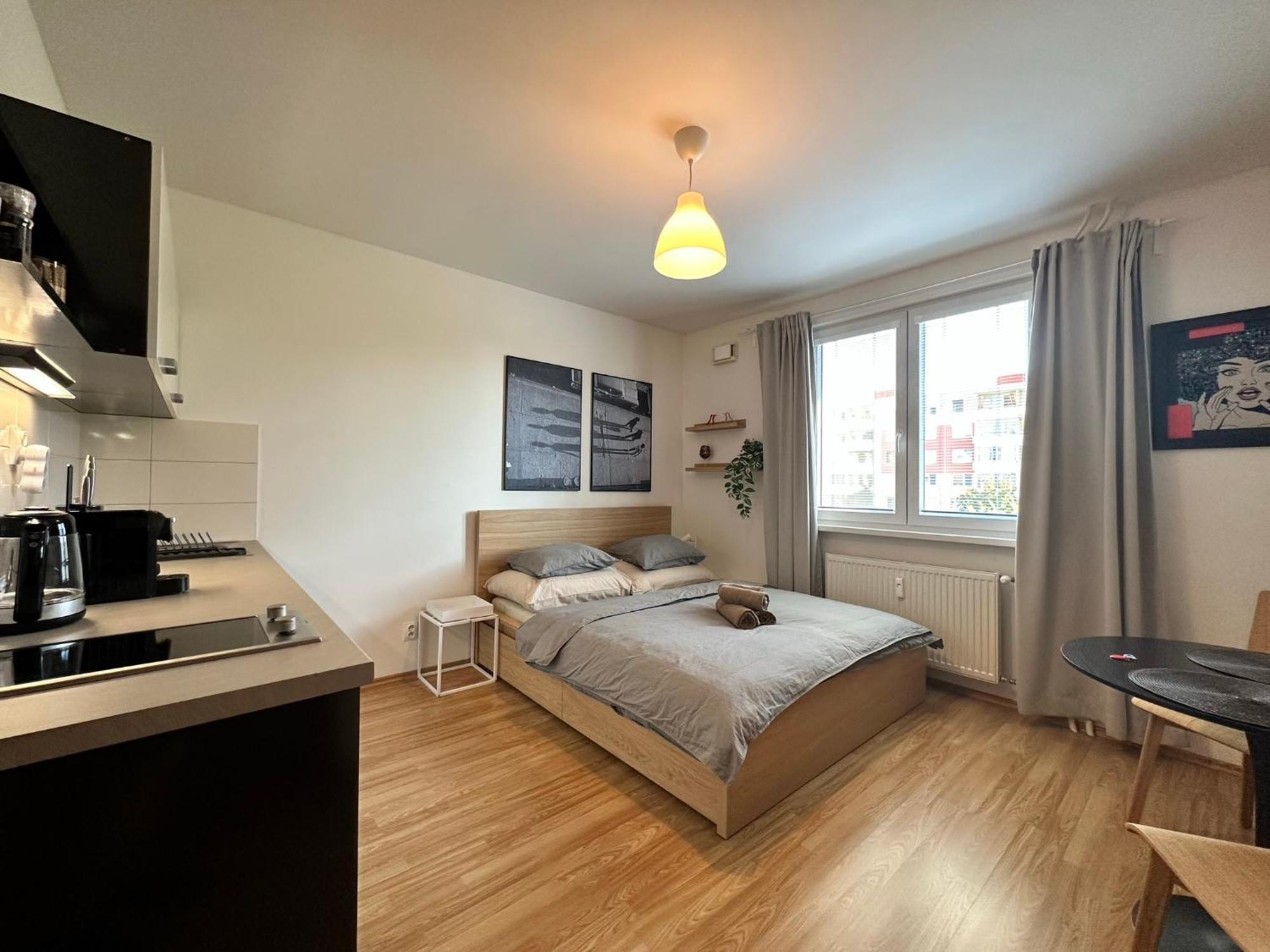 Cozy Studio Apartment In The Wider Center Bratysława Zewnętrze zdjęcie